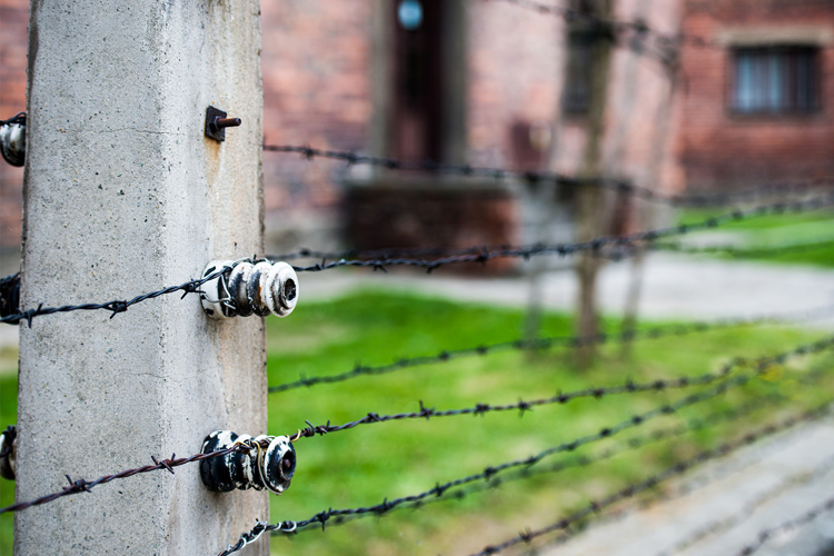 Auschwitz koncentrationslejr