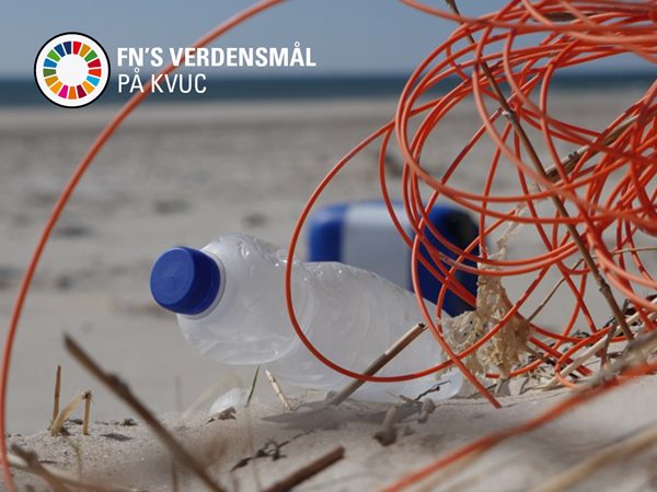 Affald Vesterhavent, (Foto Plastic Change Soren Hebsgaard).JPG